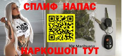 прущие грибы Чебаркуль