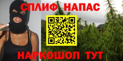 прущие грибы Чебаркуль