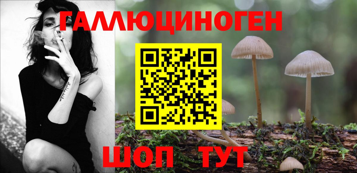 Богородск  Псилоцибиновые грибы MAGIC MUSHROOMS  Вход с VPN 