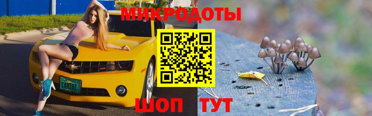 Псилоцибиновые грибы Psilocybine cubensis Богородск